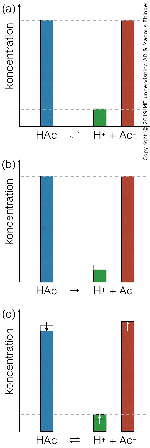 (a) Buffertsystemet är i jämvikt. (b) En liten mängd bas (OH–) sätts till lösningen. Den reagerar med H+ och bildar vatten, vilket gör att [H+] sjunker. Jämvikten rubbas, och går åt höger (enligt Le Chateliers princip). (c) När systemet åter nått jämvikt är koncentrationen H+ åter ungefär lika hög som innan.