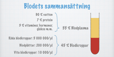 Blodets sammansättning