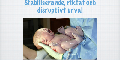 Stabiliserande, riktat och disruptivt urval