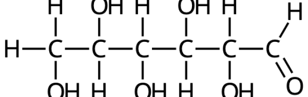 Prov 2019-12-04 i Biomolekyler + lite biokemi