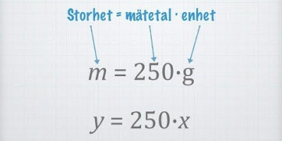 Storhet, enhet och mätetal