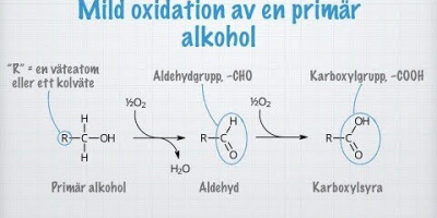 Oxidation av alkoholer