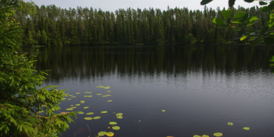 Sjön som ekosystem