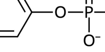 Undersökning av en en­zym­ka­ta­ly­se­rad re­ak­tions pH-be­ro­en­de (μ-version)