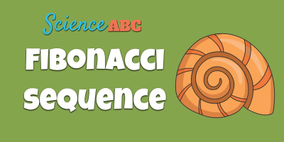 Vad är fibonacciserien och det gyllene snittet?