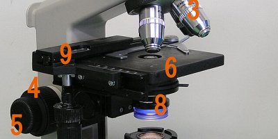 Prov 2009-02-11 i Cellbiologi