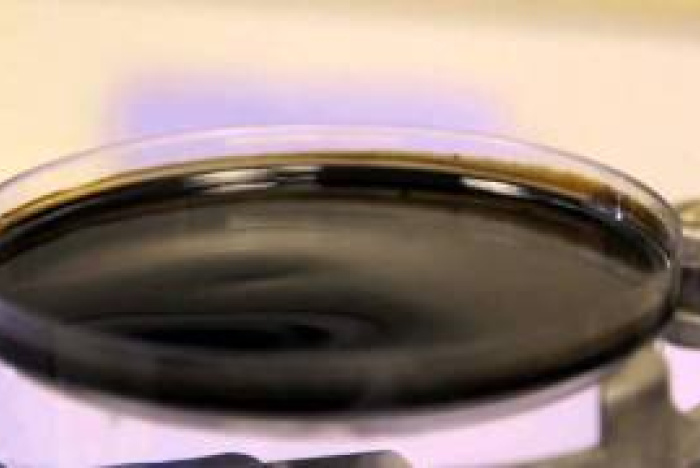 Ferrofluid-demonstration