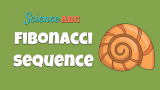 Vad är fibonacciserien och det gyllene snittet?