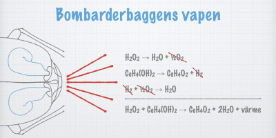 Hur funkar bombarderbaggens kemiska vapen?