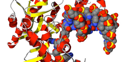 DNA syntetiseras av DNA-polymeraser