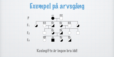 Recessiva autosomala sjukdomar