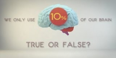 Använder man bara 10% av sin hjärnkapacitet?
