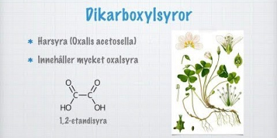 Aromatiska karboxylsyror. Dikarboxylsyror. Hydroxisyror.