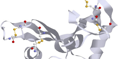 Ett proteins struktur bestäms av dess amino­syra­sekvens