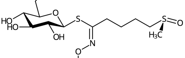 Prov 2015-04-23 i Biomolekyler och Grundläggande biokemi