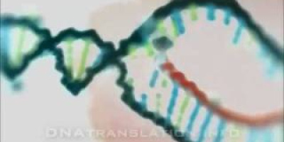 Från DNA till protein