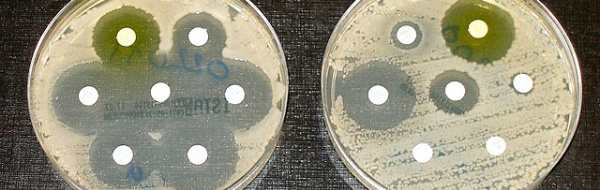 Antibiotikaresistens