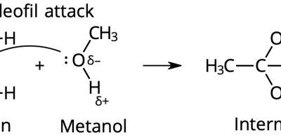 Estrar – reaktionsmekanism