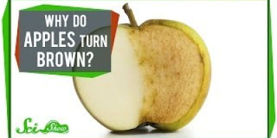 Varför blir äpplen bruna?