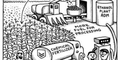 Hur pass miljövänlig är egentligen etanol?