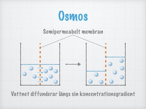 Diffusion och osmos. Transport över membran