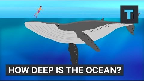 Hur djupt är egentligen havet?