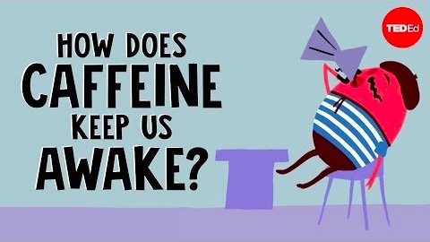 Kaffe och hur det håller dig vaken