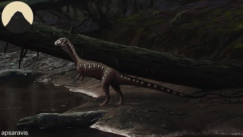 Krokodilernas evolution