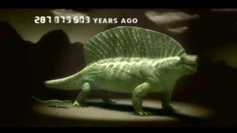 500 miljoner års evolution på fem minuter