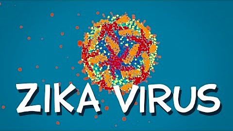 vad-vet-vi-om-zika-viruset