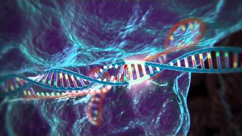 Genredigering med CRISPR-Cas9