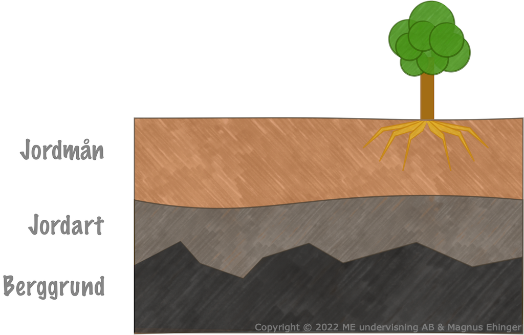 Berggrunded påverkar jordartens egenskaper, som i sin tur påverkar jordmånens egenskaper.