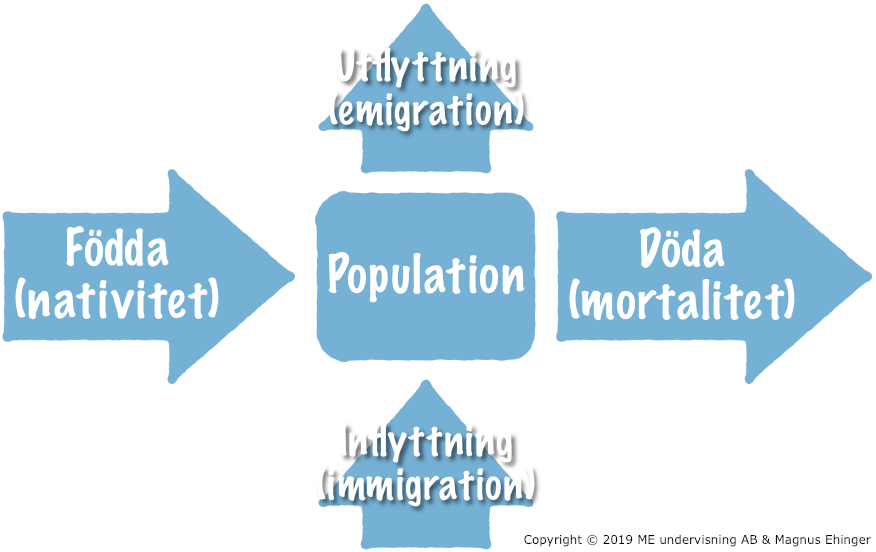 Vilka faktorer som påverkar en populations storlek.