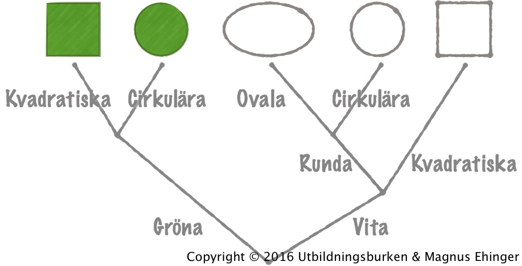 "Organismerna" har sorterts i ett släktträd som avspeglar deras evolution. 