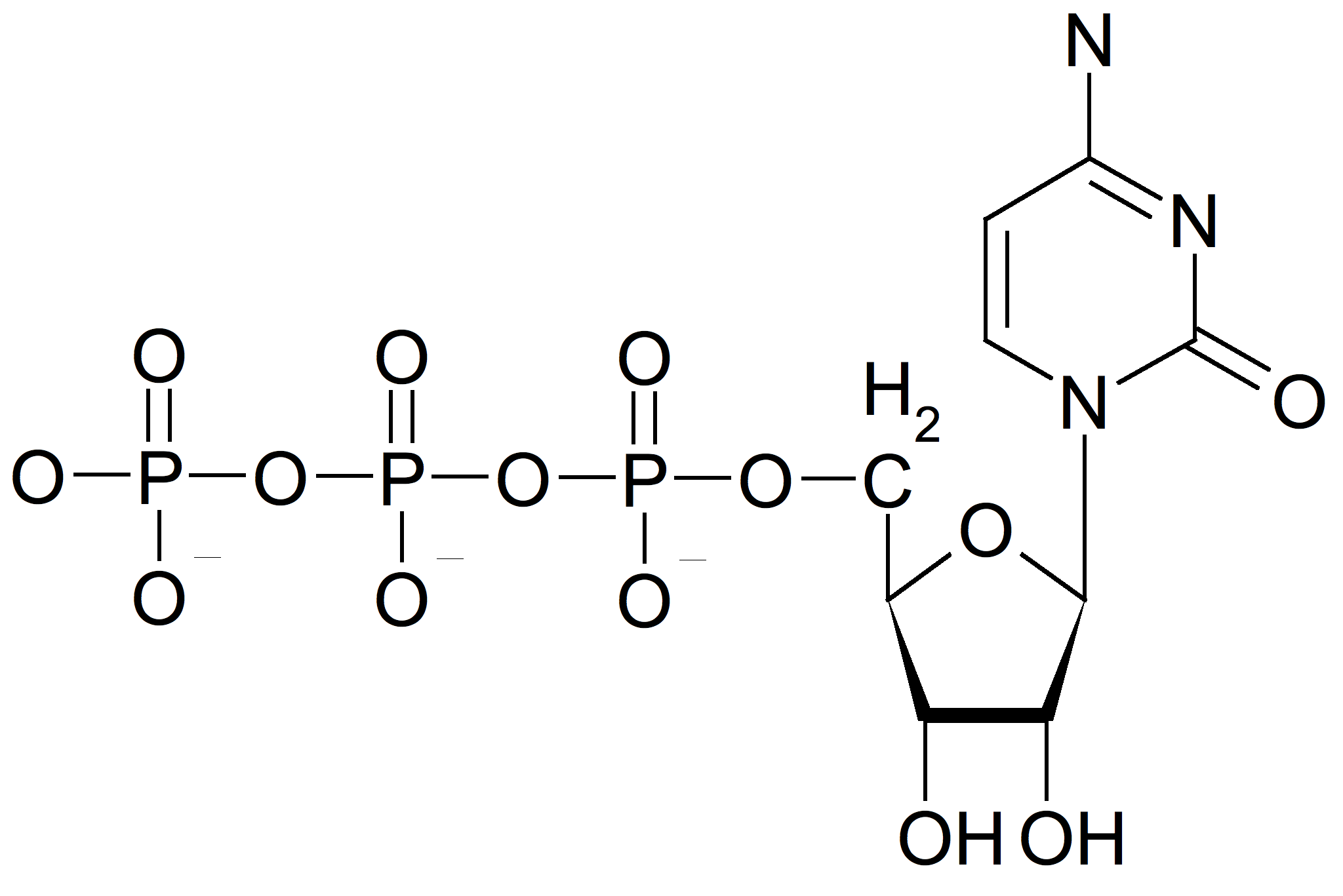 Cytidintrifosfat (CTP). 