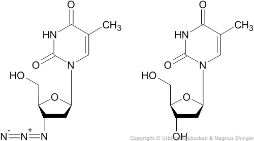 AZT och deoxitymidin