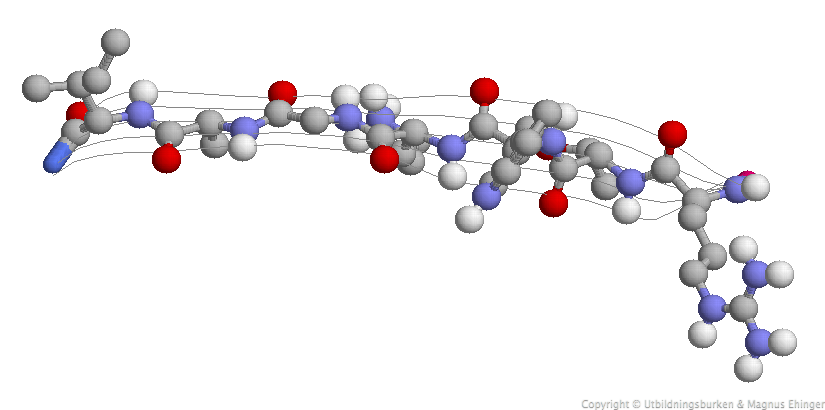En del av primärstrukturen hos ett enzym som kallas alkoholdehydrogenas.