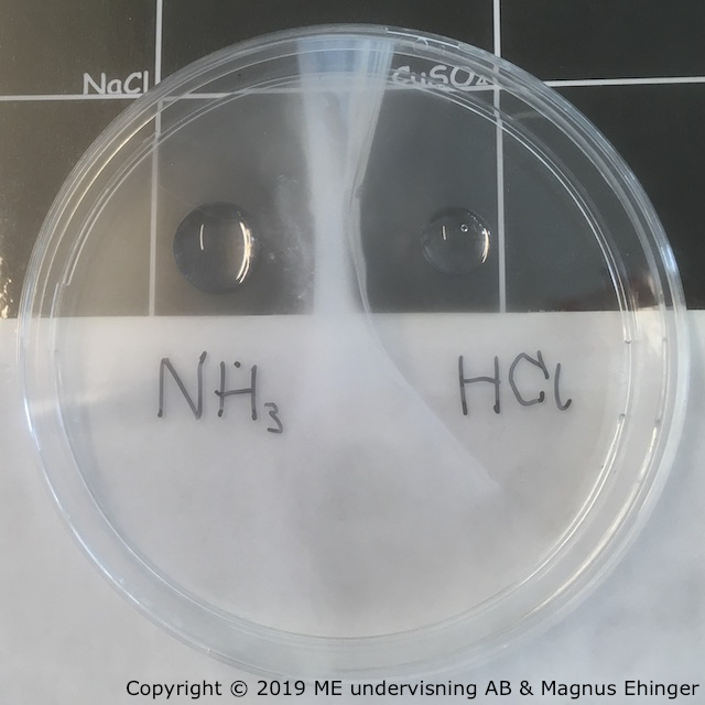 I petriskålen sker reaktionen NH₃(g) + HCl(g) → NH₄Cl(s). Den fasta ammoniumkloriden (salmiaken) deponeras i taket och botten av petriskålen.
