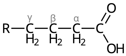 α-, β- och γ-kol i fettsyra.