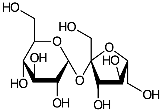 Sackaros (sukros) är uppbyggd av en glukosrest (till vänster) och en fruktosrest (till höger).