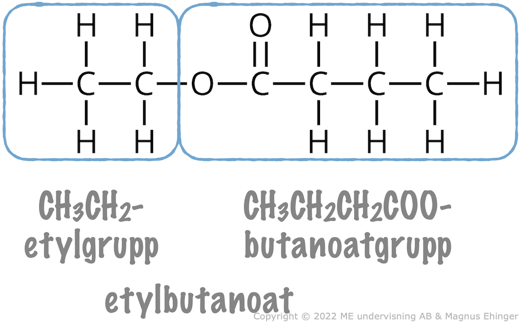 Till vänster i estern ovan är det en etylgrupp (från etanolen som reagerade). Till höger är det en butanoatgrupp (från butansyran som reagerade). Därför är esterns namn "etylbutanoat".