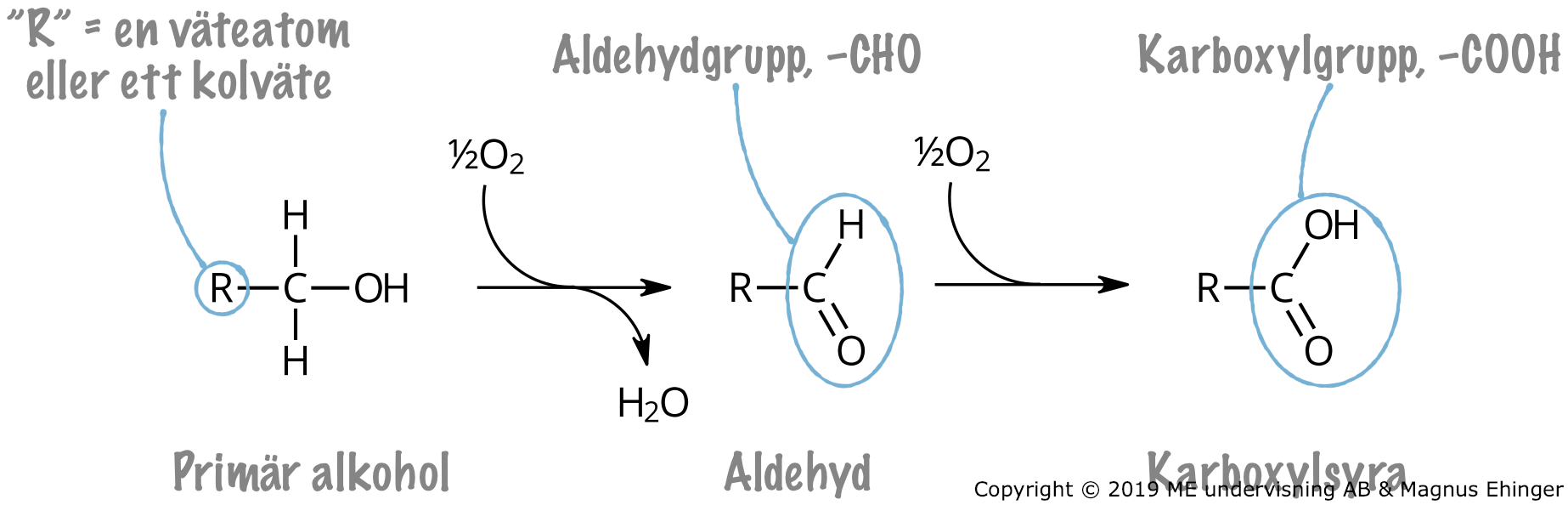 Oxidation av en generell primär alkohol.