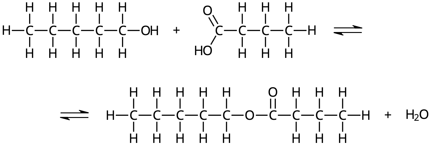 1-pentanol-butansyra-pentylbutanoat-vatten