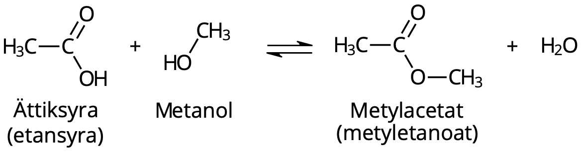 Ättiksyra + metanol → metylacetat + vatten.