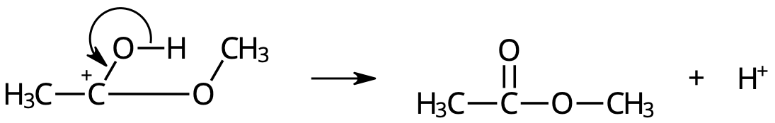 Intermediär 2 → metyletanoat + vätejon.