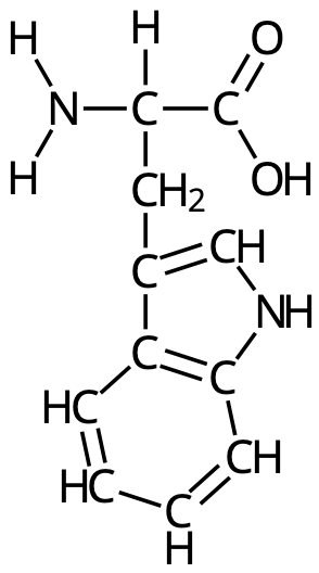 Tryptofan (Trp, W)