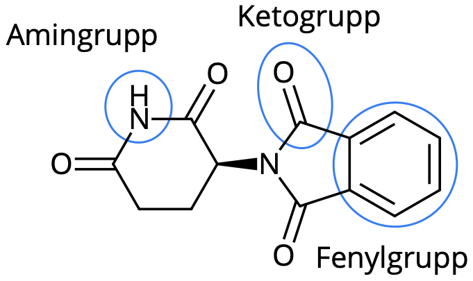 S-talidomid-med-funktionella-grupper-markerade