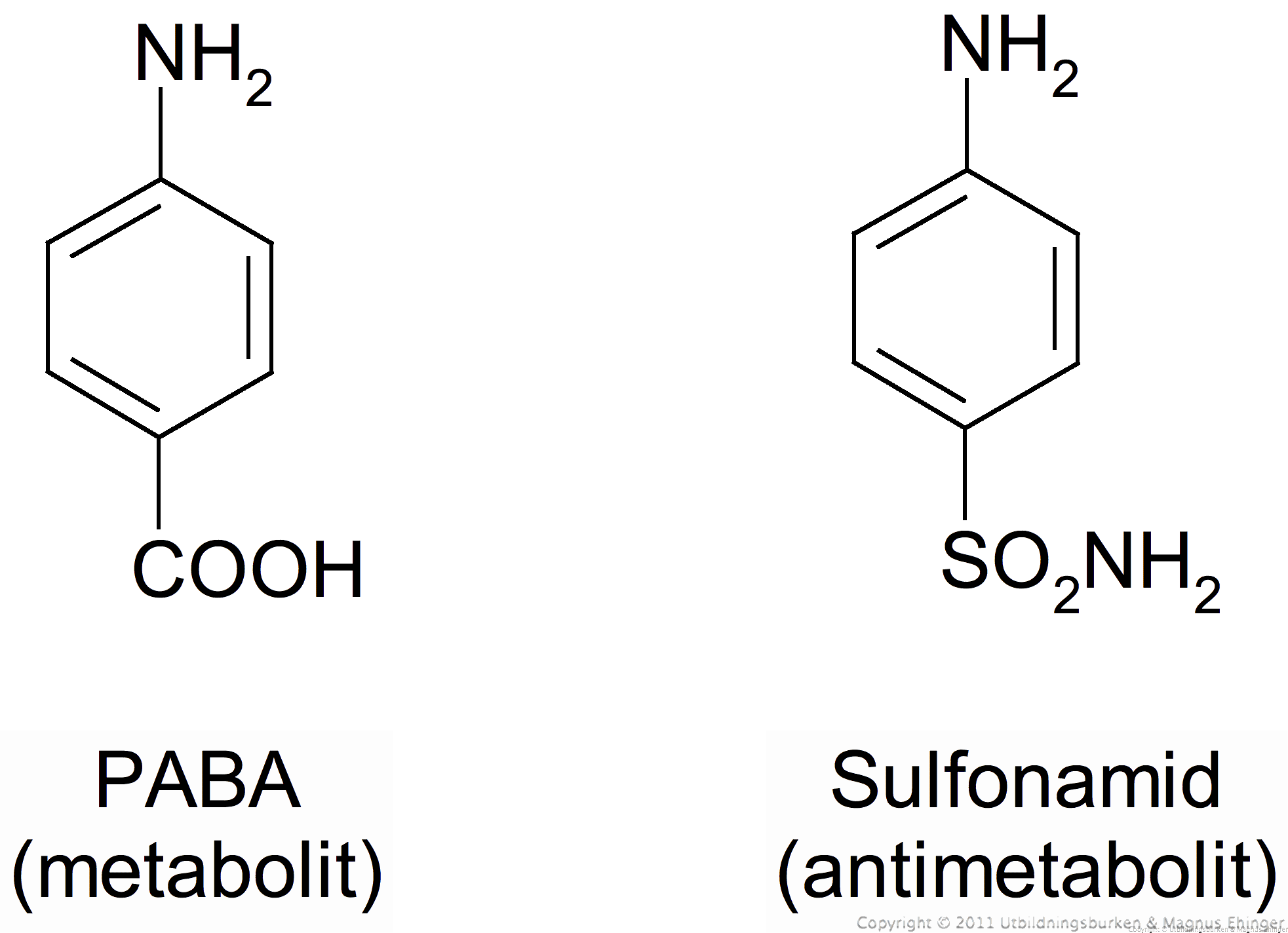 Jämförelse mellan PABA och sulfonamid. 